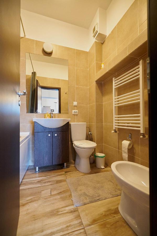 Cozy 3 Bedroom Apartments In Centre Of Iasi Palas Mall エクステリア 写真