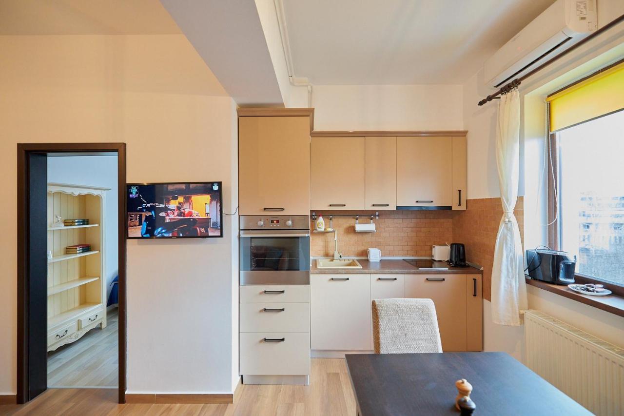 Cozy 3 Bedroom Apartments In Centre Of Iasi Palas Mall エクステリア 写真